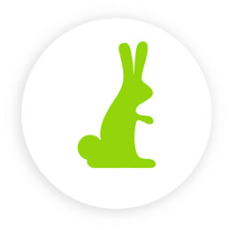 Sexual Activity Icon